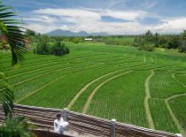Villa Shalimar, Ver a los campos de arroz
